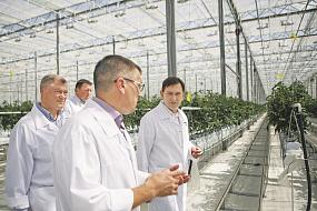 Владимир Нетёсов:&hellip;